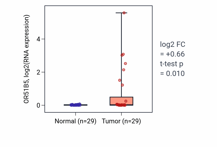 Tumor-vs-normal expression box plot for OR51B5 in HNSC.