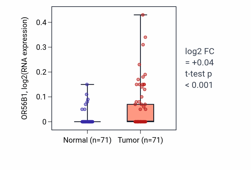 Tumor-vs-normal expression box plot for OR56B1 in KIRC.