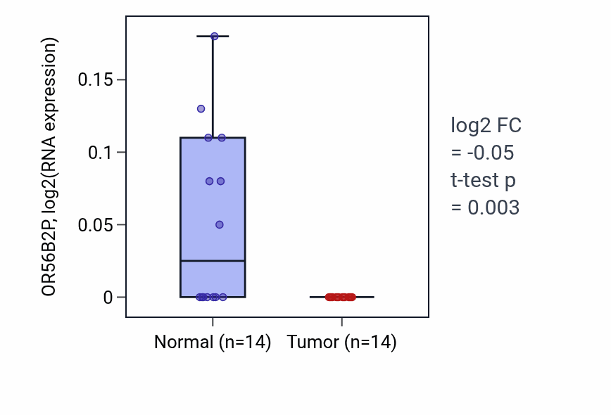 Tumor-vs-normal expression box plot for OR56B2P RNA in LUSC.
