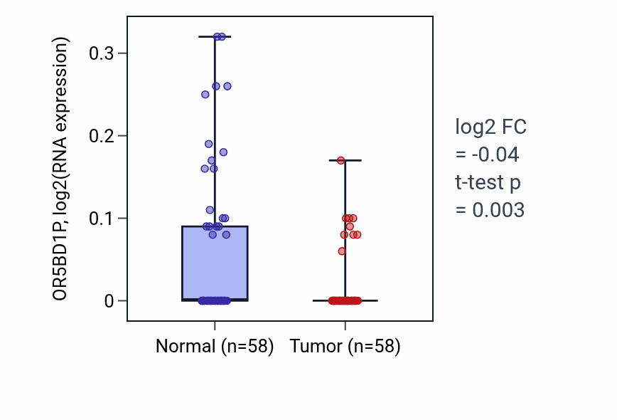 Tumor-vs-normal expression box plot for OR5BD1P in THCA.