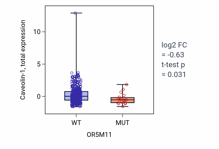 Box plot of Caveolin-1 in OR5M11-low vs OR5M11-high samples in UCEC.