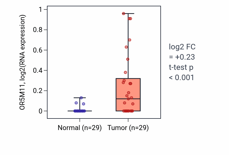 Tumor-vs-normal expression box plot for OR5M11 in HNSC.