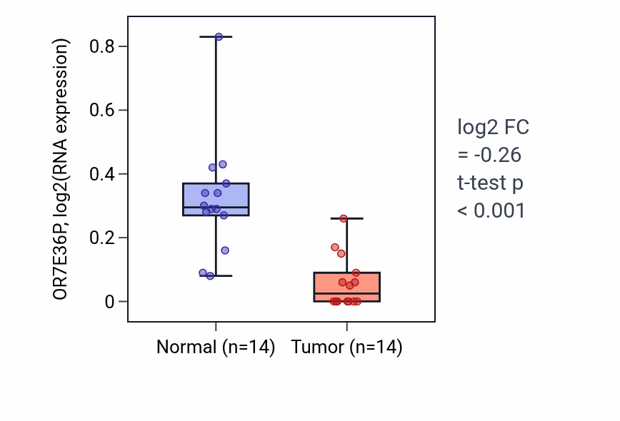 Tumor-vs-normal expression box plot for OR7E36P in THCA.