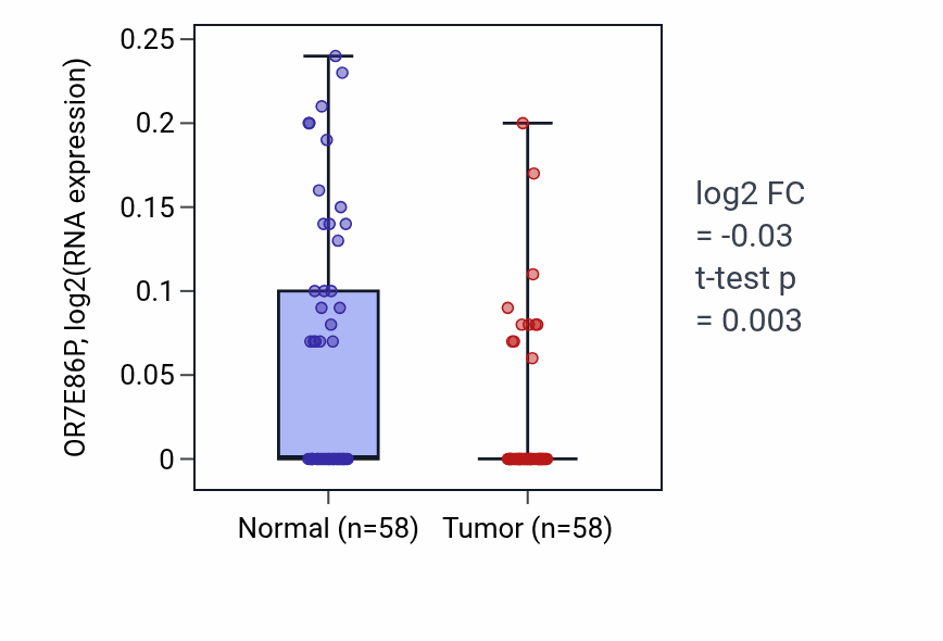 Tumor-vs-normal expression box plot for OR7E86P in THCA.