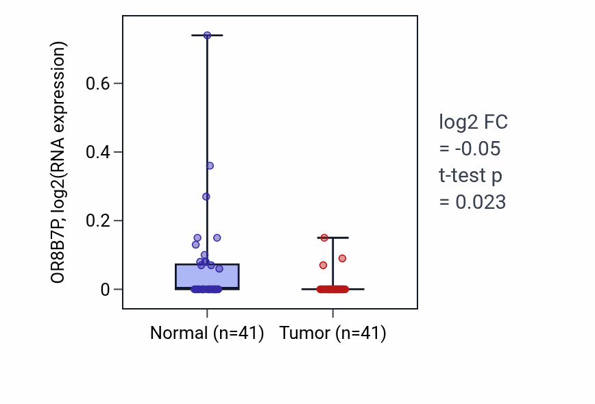 Tumor-vs-normal expression box plot for OR8B7P in THCA.