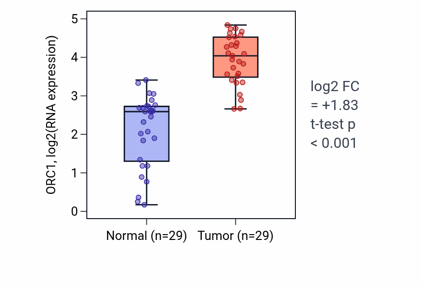 Tumor-vs-normal expression box plot for ORC1 RNA in HNSC.