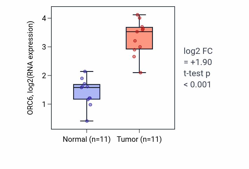 Tumor-vs-normal expression box plot for ORC6 RNA in HNSC.