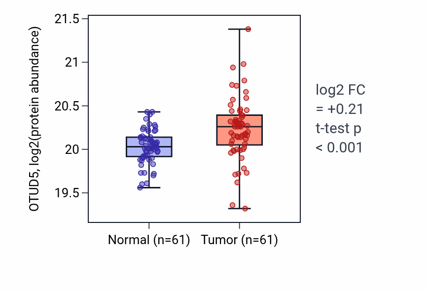 Tumor-vs-normal mass-spec protein box plot for OTUD5 in CCRCC.