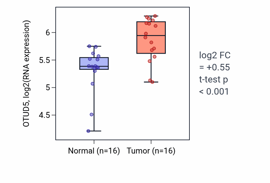 Tumor-vs-normal expression box plot for OTUD5 RNA in HNSC.