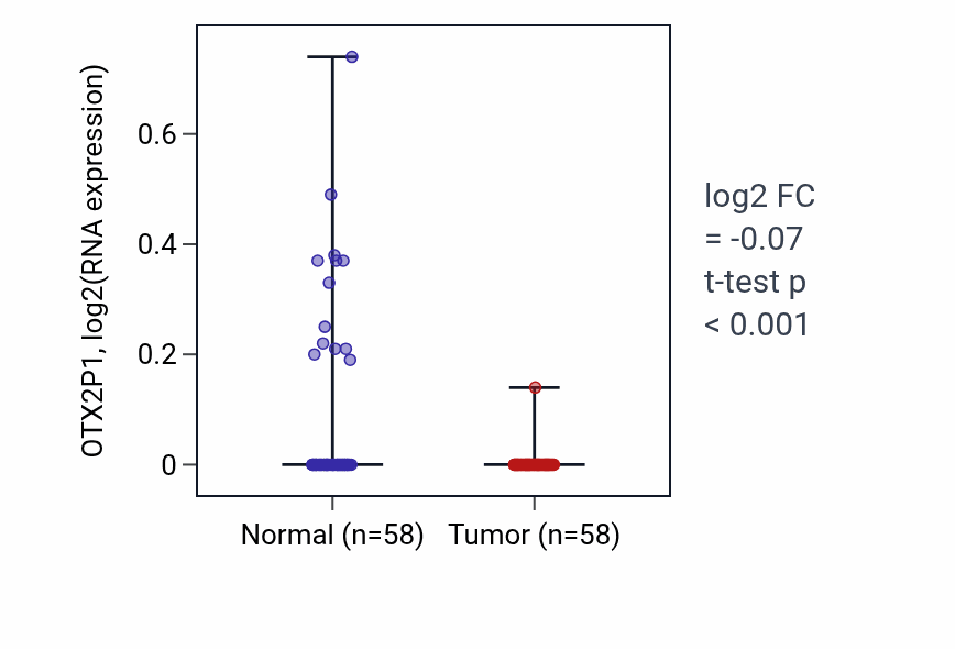 Tumor-vs-normal expression box plot for OTX2P1 in THCA.