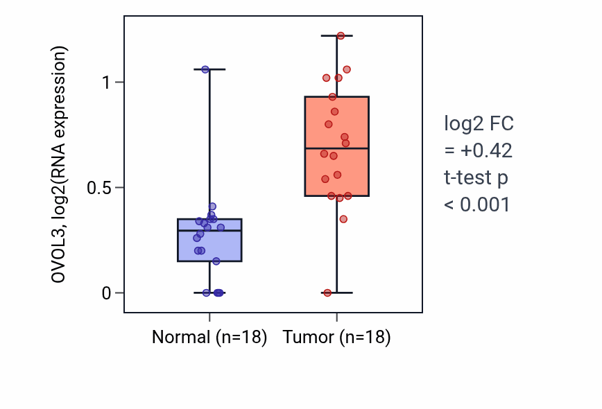 Tumor-vs-normal expression box plot for OVOL3 RNA in BLCA.