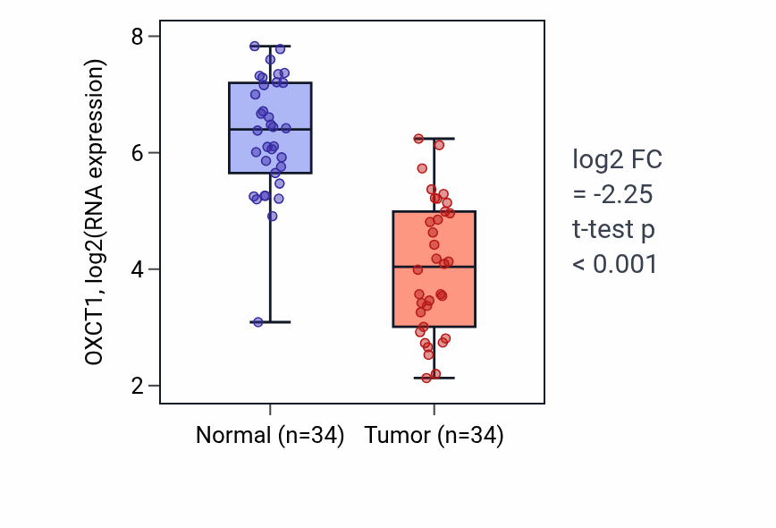 Tumor-vs-normal expression box plot for OXCT1 RNA in KIRC.