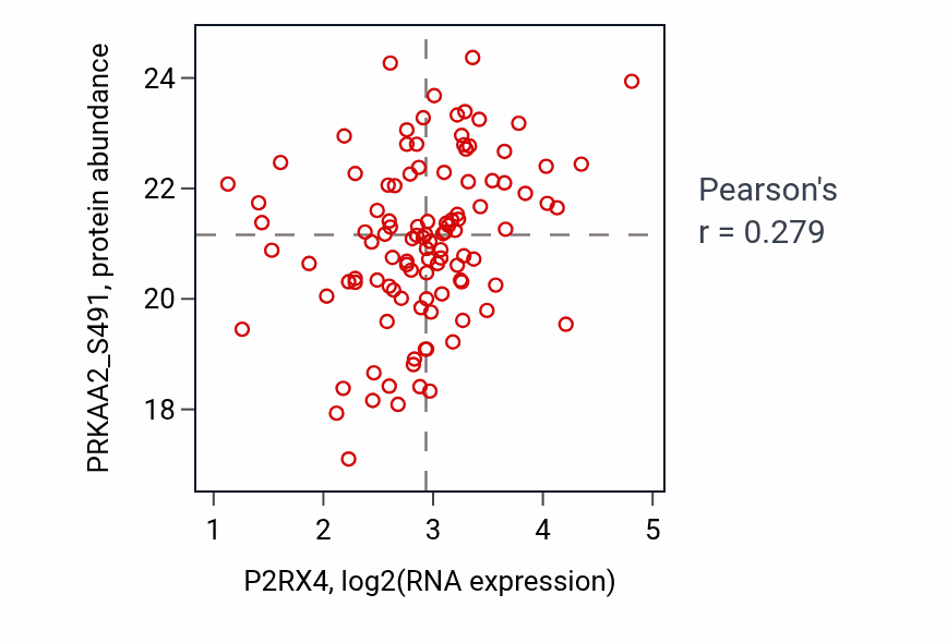 Per-sample scatter of P2RX4 vs PRKAA2_S491 in HNSC (Pearson r = 0.28).