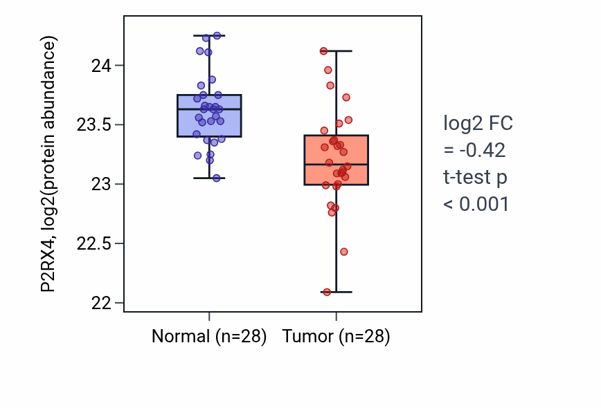 Tumor-vs-normal mass-spec protein box plot for P2RX4 in COAD.