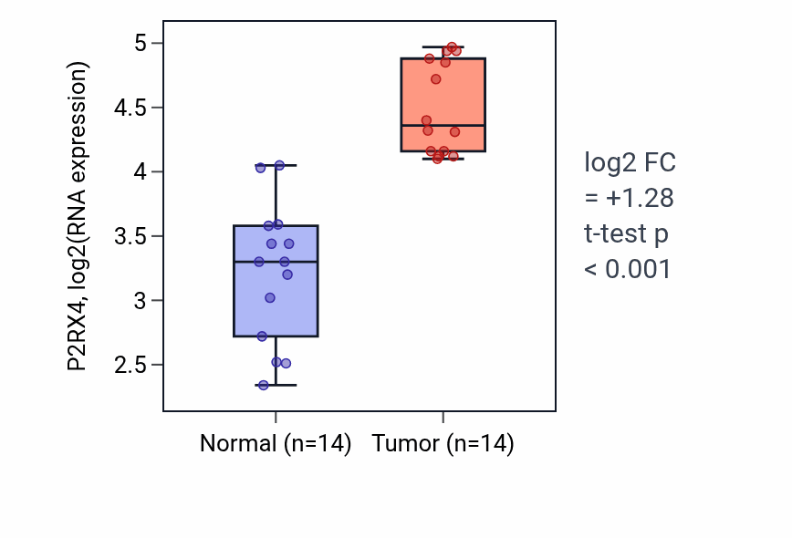Tumor-vs-normal expression box plot for P2RX4 RNA in KIRC.