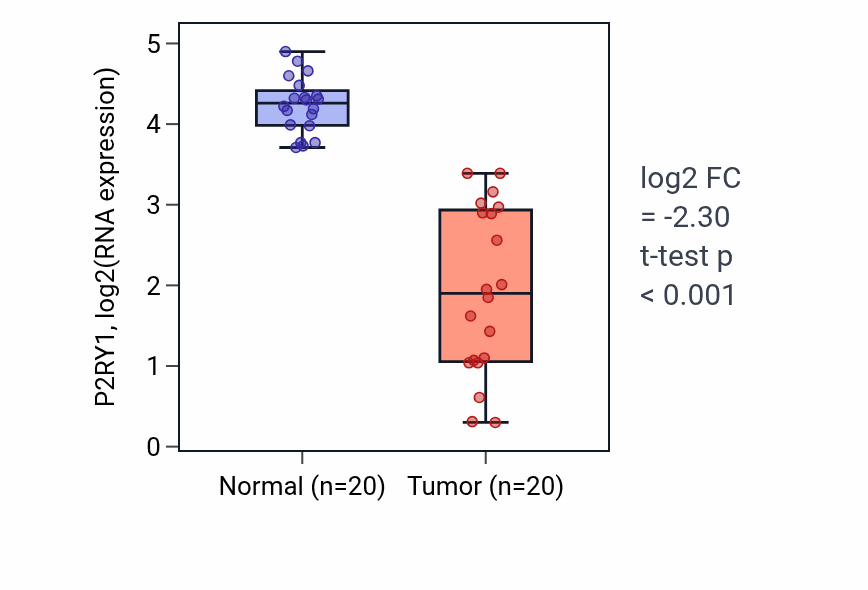 Tumor-vs-normal expression box plot for P2RY1 RNA in COAD.