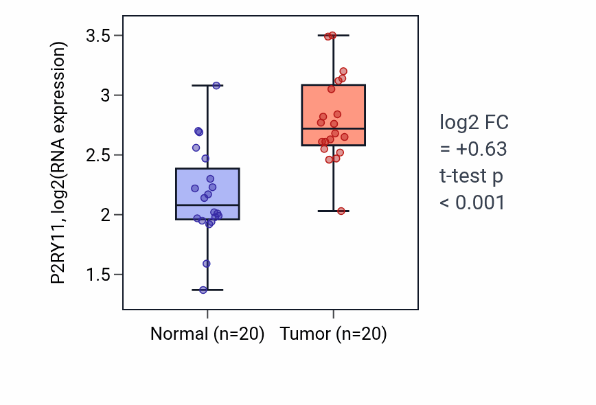 Tumor-vs-normal expression box plot for P2RY11 RNA in KIRC.