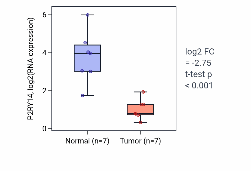 Tumor-vs-normal expression box plot for P2RY14 RNA in BLCA.