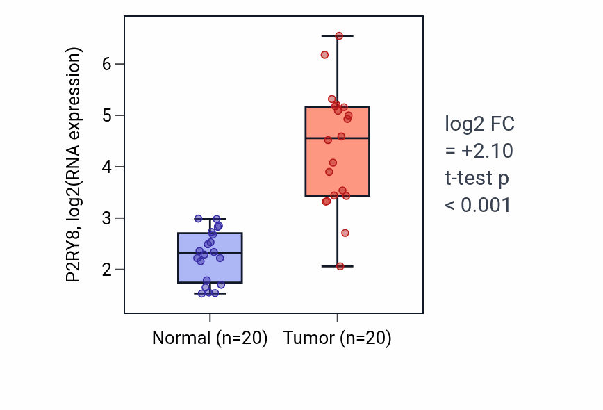 Tumor-vs-normal expression box plot for P2RY8 RNA in KIRC.