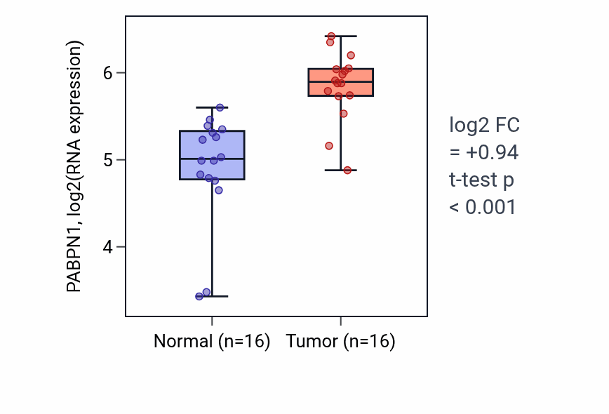 Tumor-vs-normal expression box plot for PABPN1 RNA in HNSC.