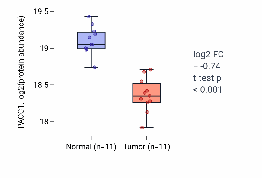 Tumor-vs-normal mass-spec protein box plot for PACC1 in CCRCC.