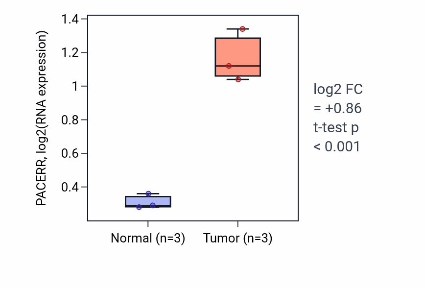 Tumor-vs-normal expression box plot for PACERR RNA in THCA.
