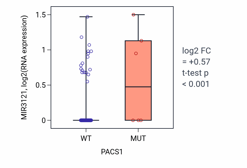 Box plot of MIR3121 in PACS1-low vs PACS1-high samples in LUSC.