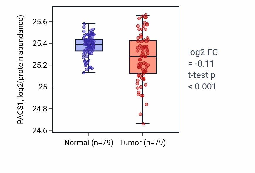 Tumor-vs-normal mass-spec protein box plot for PACS1 in LSCC.