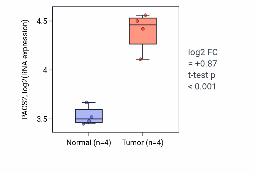 Tumor-vs-normal expression box plot for PACS2 RNA in KIRP.