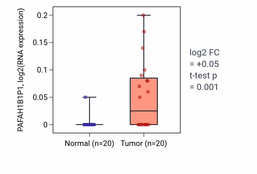 Tumor-vs-normal expression box plot for PAFAH1B1P1 in KIRC.