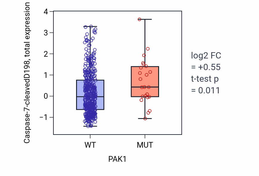 Box plot of Caspase-7-cleavedD198 in PAK1-low vs PAK1-high samples in UCEC.