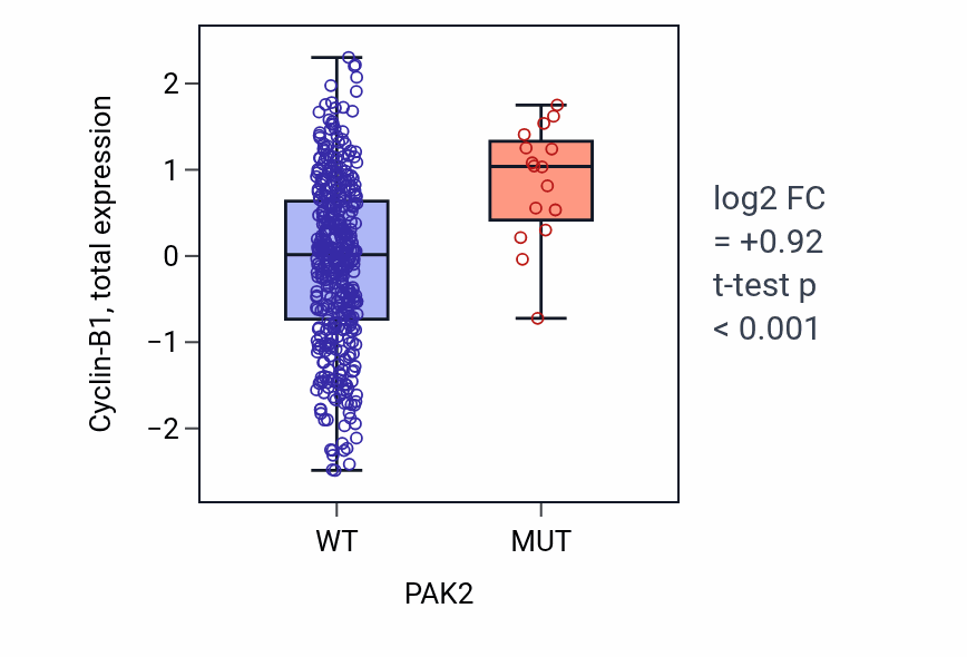 Box plot of Cyclin-B1 in PAK2-low vs PAK2-high samples in UCEC.