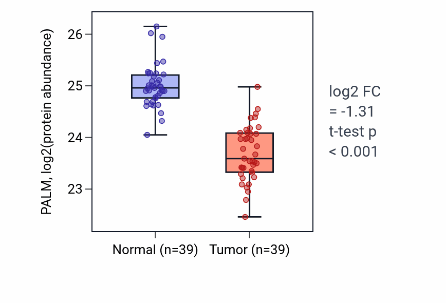 Tumor-vs-normal mass-spec protein box plot for PALM in HNSC.