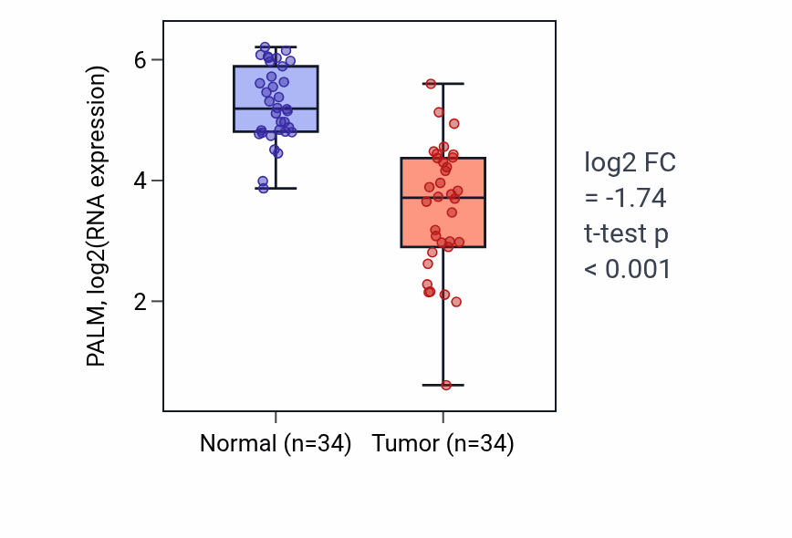 Tumor-vs-normal expression box plot for PALM RNA in KIRC.