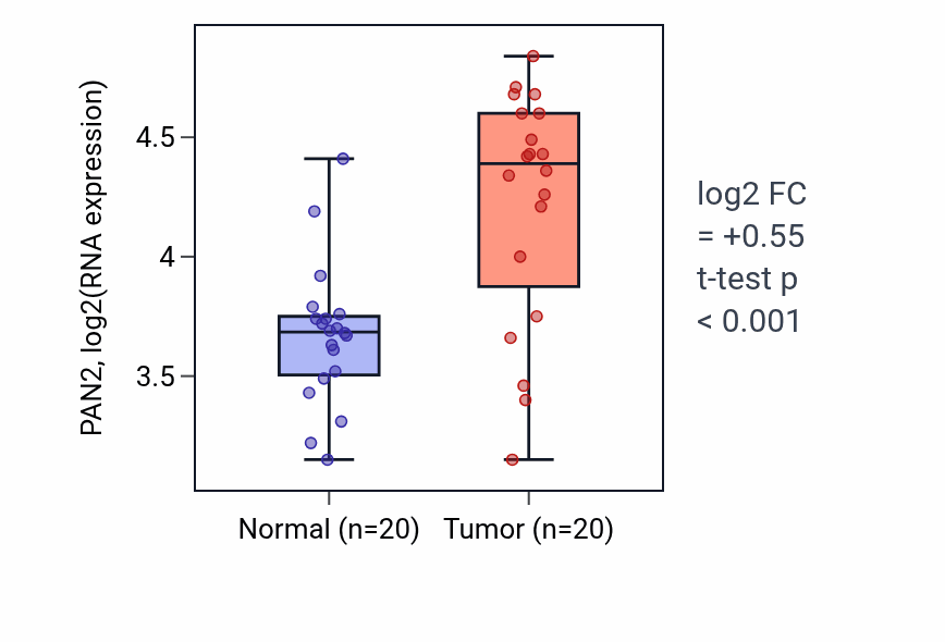 Tumor-vs-normal expression box plot for PAN2 RNA in KIRC.