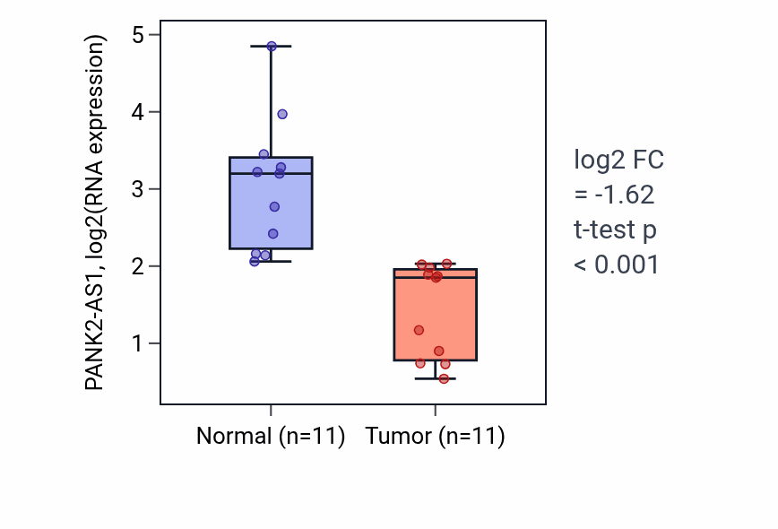 Tumor-vs-normal expression box plot for PANK2-AS1 in KICH.