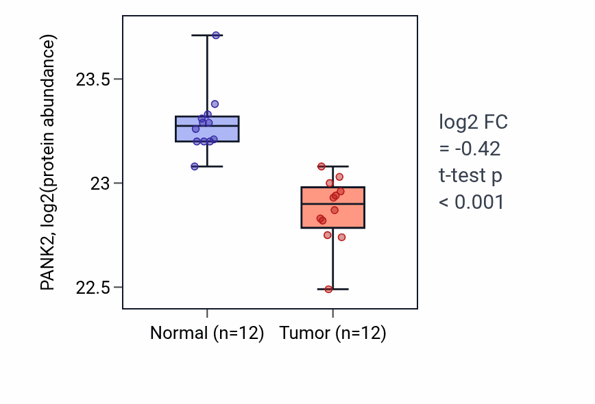 Tumor-vs-normal mass-spec protein box plot for PANK2 in LUAD.