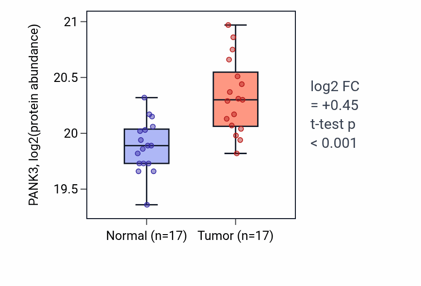 Tumor-vs-normal mass-spec protein box plot for PANK3 in LSCC.