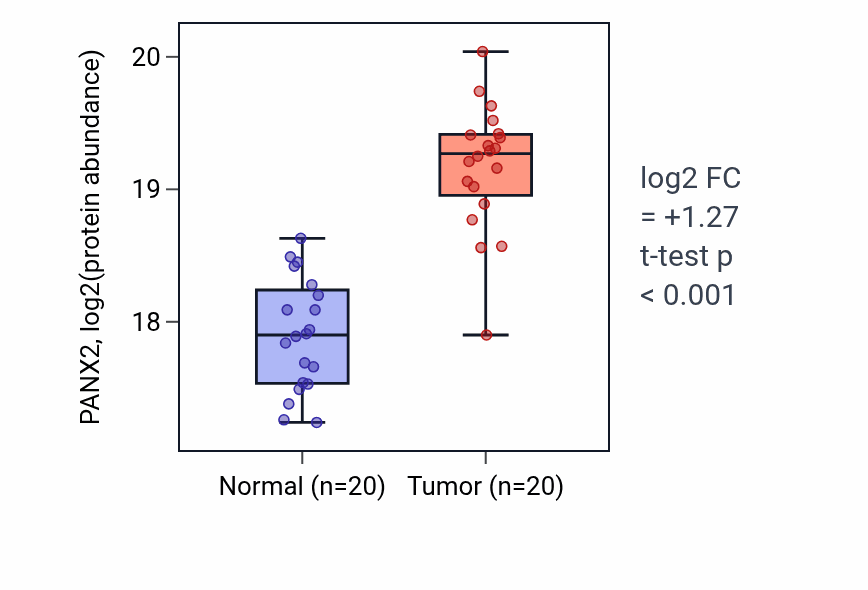 Tumor-vs-normal mass-spec protein box plot for PANX2 in CCRCC.
