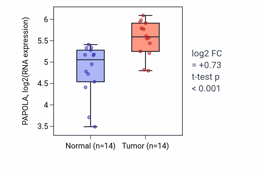 Tumor-vs-normal expression box plot for PAPOLA RNA in HNSC.