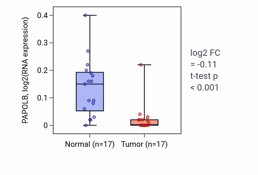 Tumor-vs-normal expression box plot for PAPOLB in THCA.