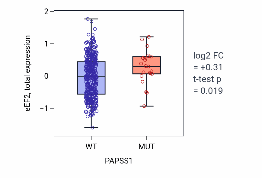 Box plot of eEF2 in PAPSS1-low vs PAPSS1-high samples in UCEC.