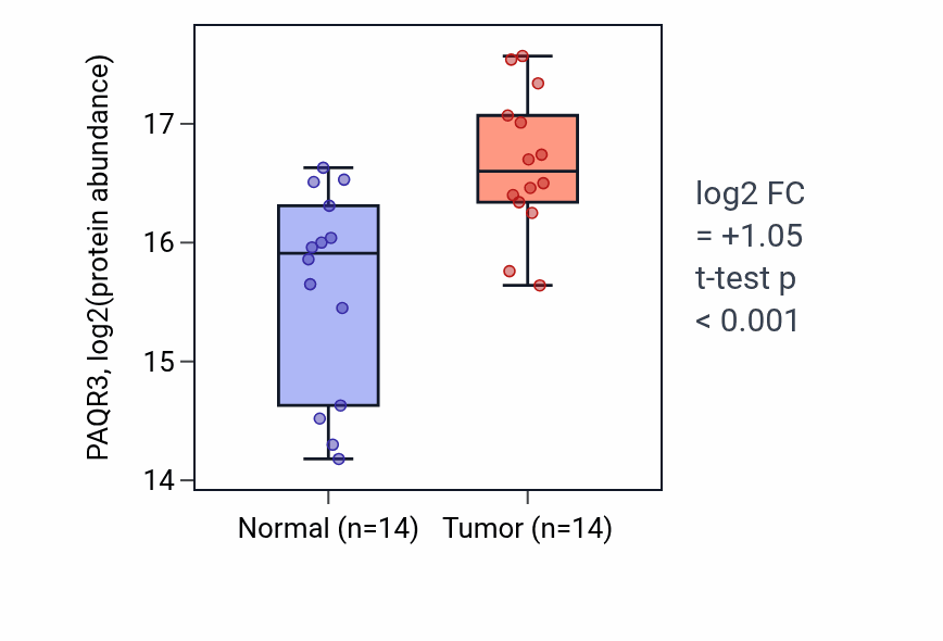 Tumor-vs-normal mass-spec protein box plot for PAQR3 in LSCC.