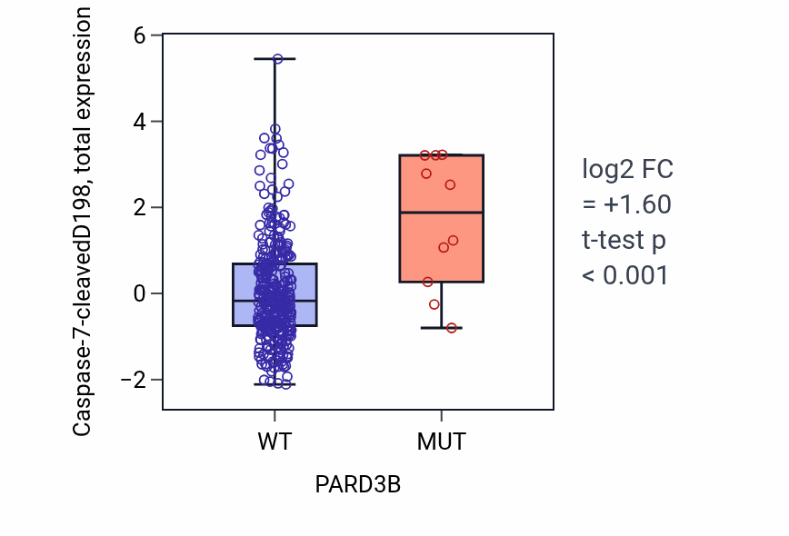 Box plot of Caspase-7-cleavedD198 in PARD3B-low vs PARD3B-high samples in COAD.