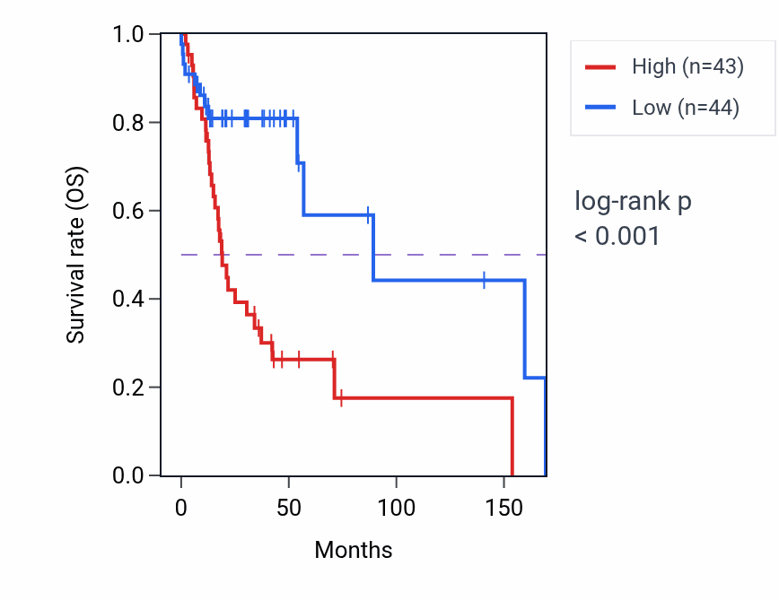Kaplan&ndash;Meier survival curve for PARN RNA-high vs -low samples in HNSC.