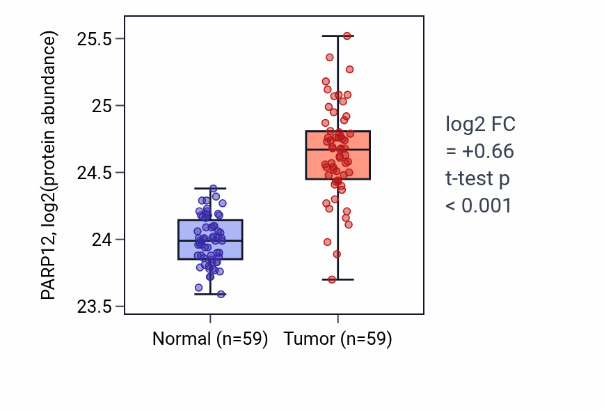 Tumor-vs-normal mass-spec protein box plot for PARP12 in HNSC.