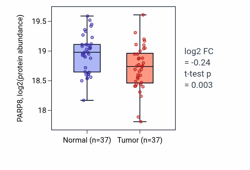 Tumor-vs-normal mass-spec protein box plot for PARP8 in LSCC.