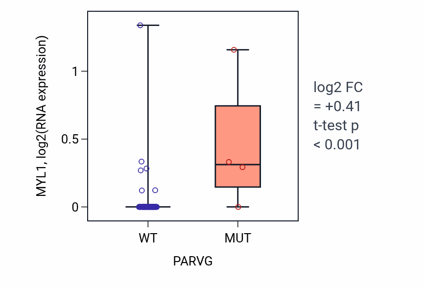 Box plot of MYL1 in PARVG-low vs PARVG-high samples in SCLC.