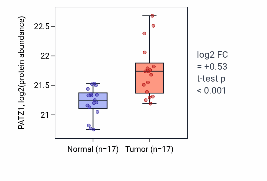 Tumor-vs-normal mass-spec protein box plot for PATZ1 in LSCC.