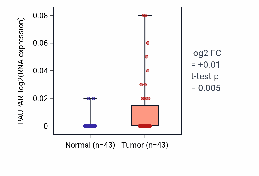 Tumor-vs-normal expression box plot for PAUPAR in HNSC.